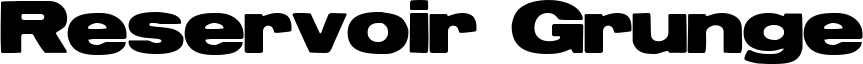 Reservoir Grunge