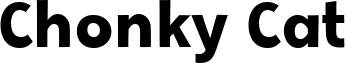 Chonky Cat