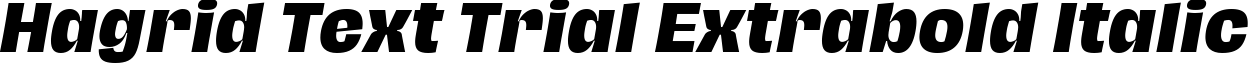 Hagrid Text Trial Extrabold Italic