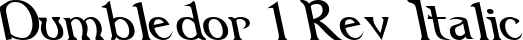 Dumbledor 1 Rev Italic