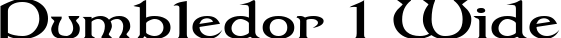 Dumbledor 1 Wide