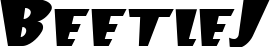BeetleJ