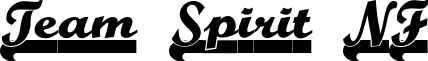 Team Spirit NF