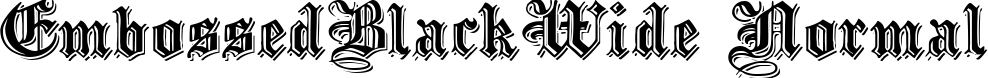 EmbossedBlackWide Normal