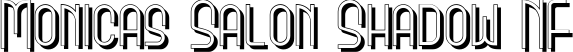 Monicas Salon Shadow NF