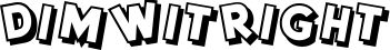 DimWitRight