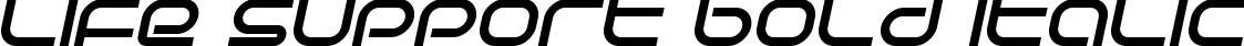 Life Support Bold Italic