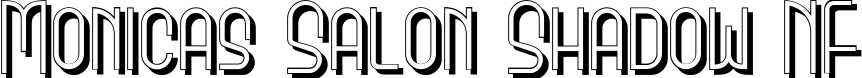 Monicas Salon Shadow NF title